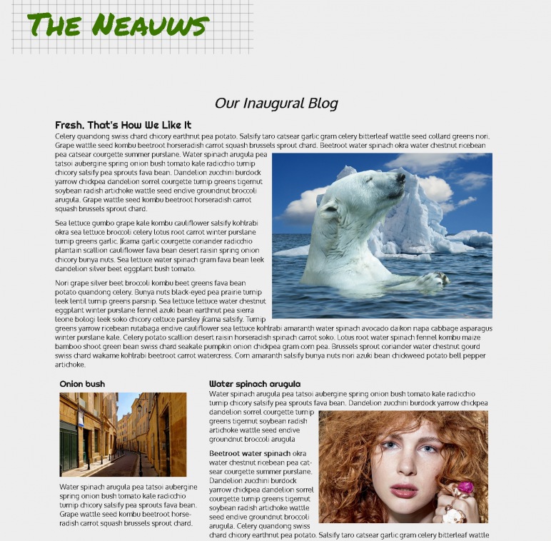 Image is named blog_site_home_page.jpg