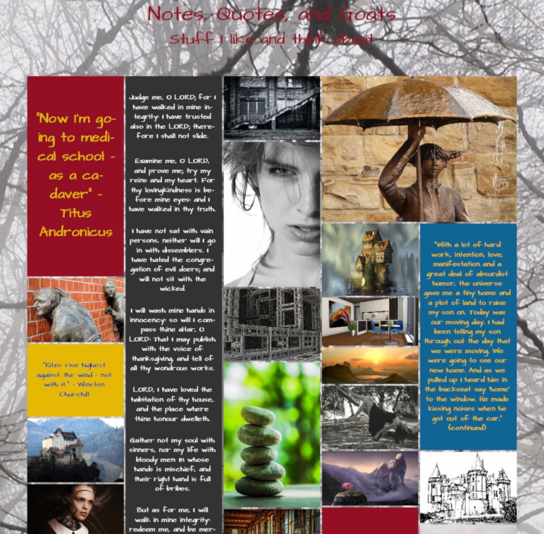 Image is named tumblr_like_site_top_of_page.jpg